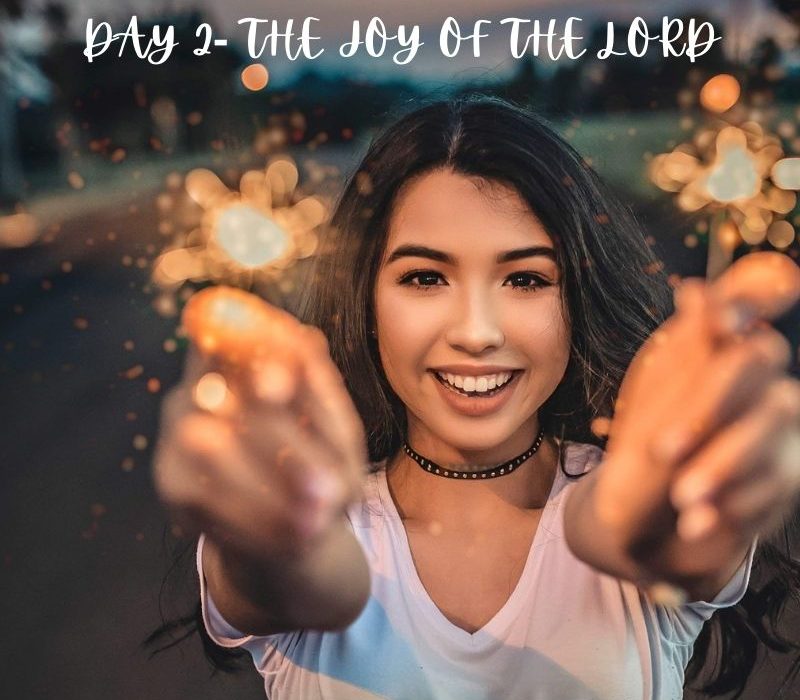 Day 2- 30 Days of Gratitude. Today let's be thankful for the joy of the Lord