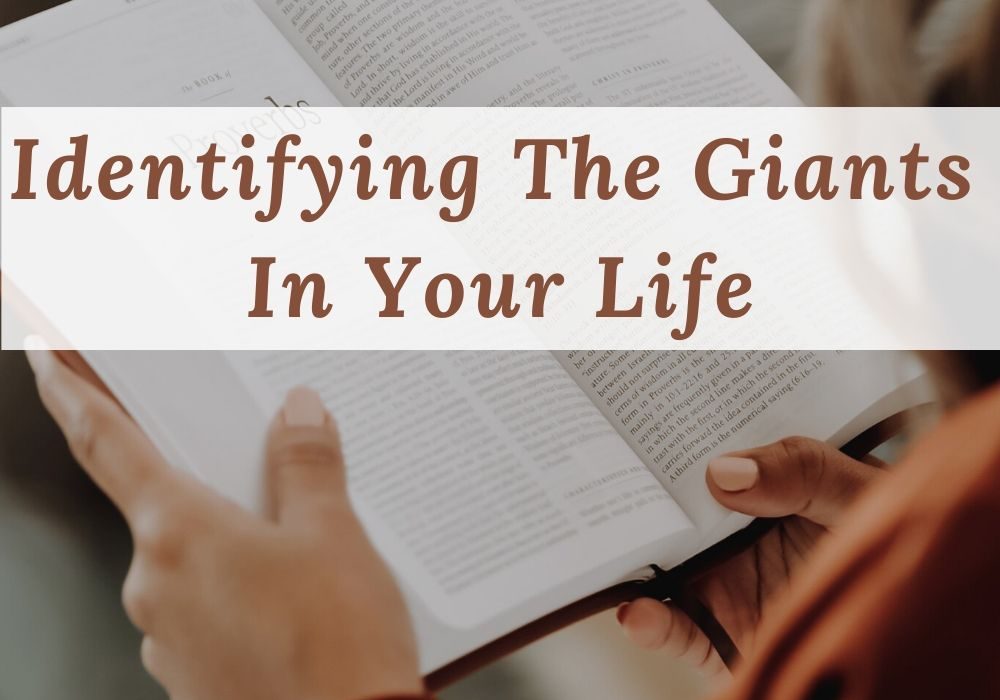 The Giant Slayer Bible Study: how to identify the giants in your life