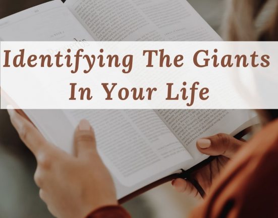 The Giant Slayer Bible Study: how to identify the giants in your life