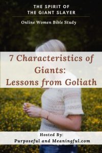 The Spirit of the Giant Slayer: 
7 Characteristics of Giants. Lessons from Goliath.