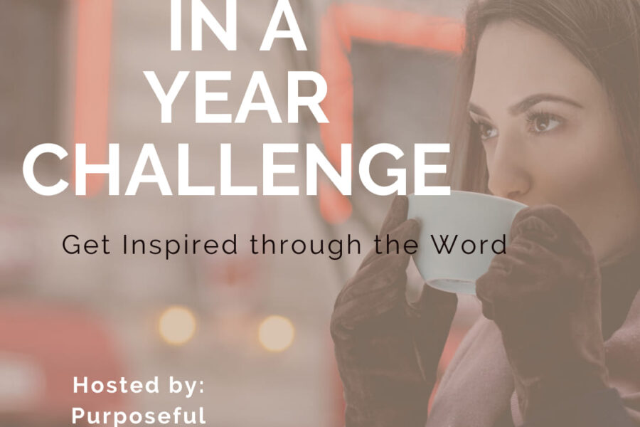 365 Days Bible Study For Women